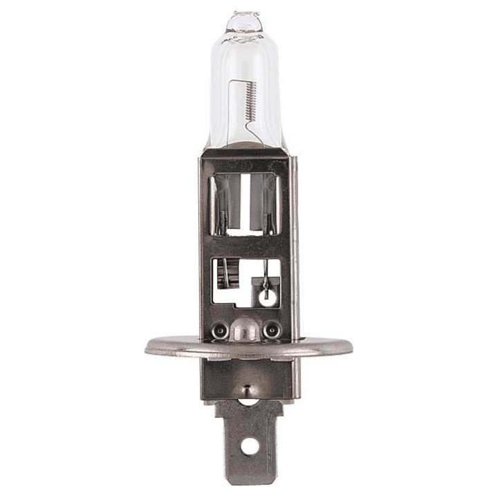 12V 55W P14.5s H1 Halogen Globe