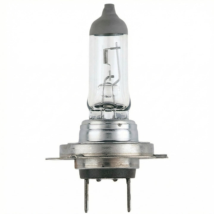 12V 55W PX26d H7 Halogen Globe