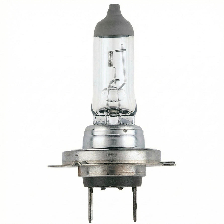 12V 55W PX26d H7 Halogen Globe