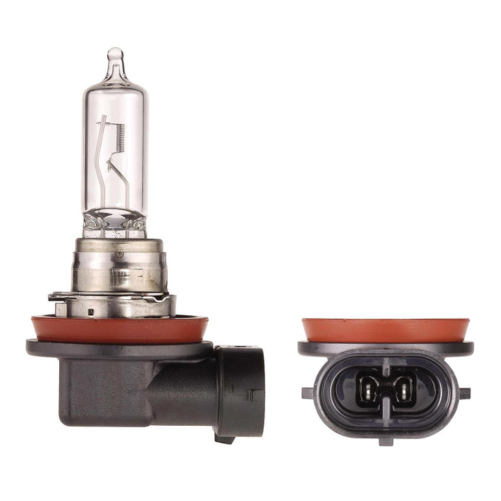 12V 65W PGJ19-5 H9 Halogen Globe